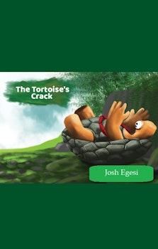 The Tortoise's Crack